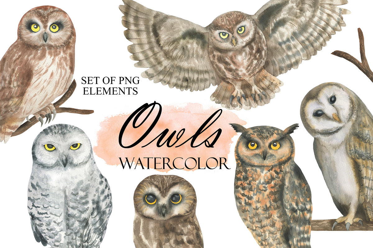 Watercolor Owls, an Animal Illustration by OlDm_Shop (Photo 1 of 5)