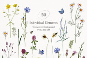 Meadow Botany. Watercolor Floral Set, a Healthcare Illustration by JulShuman (Thumbnail 10 of 11)