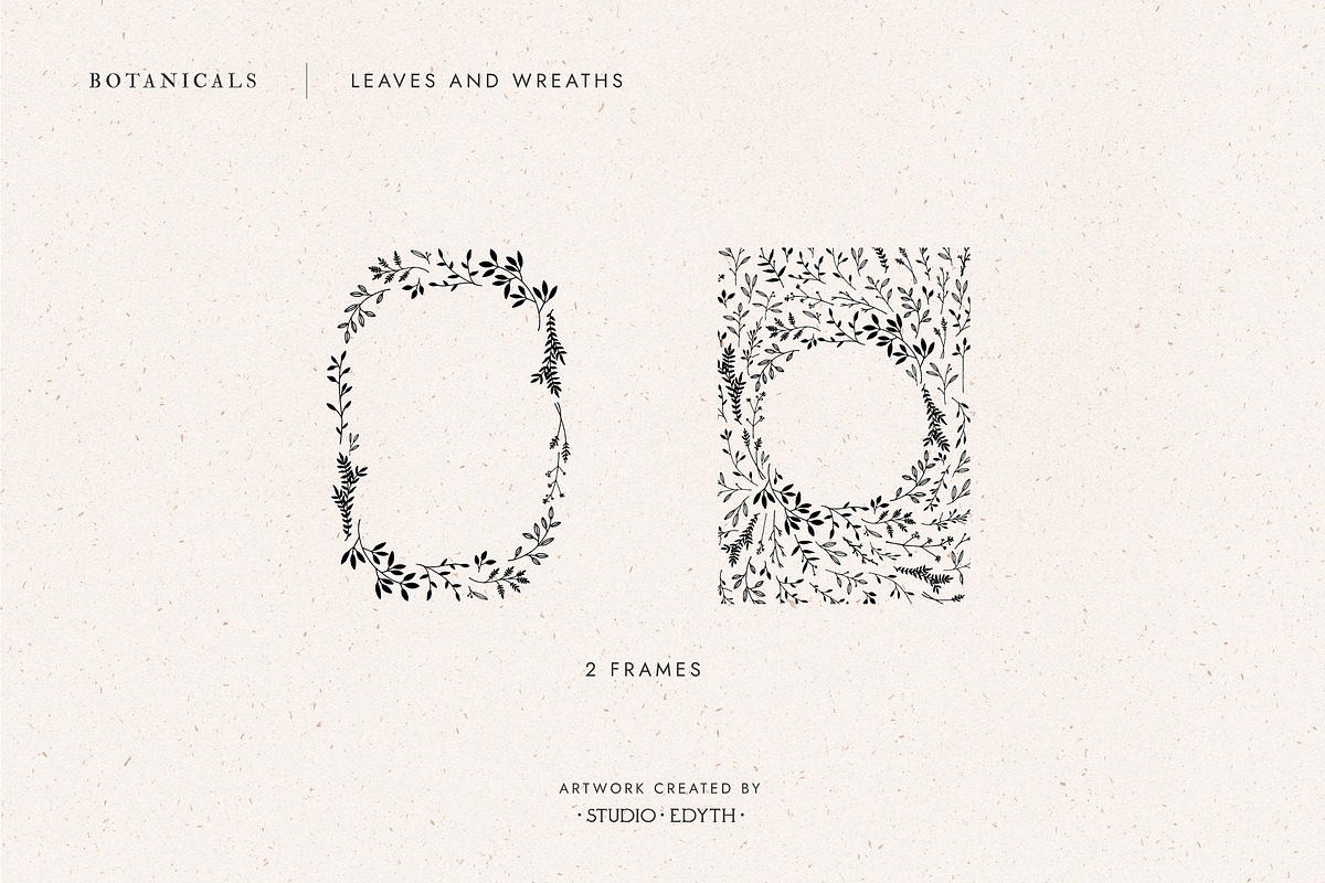 Botanical Illustration Bundle, an Illustration by Studio Edyth (Photo 3 of 8)