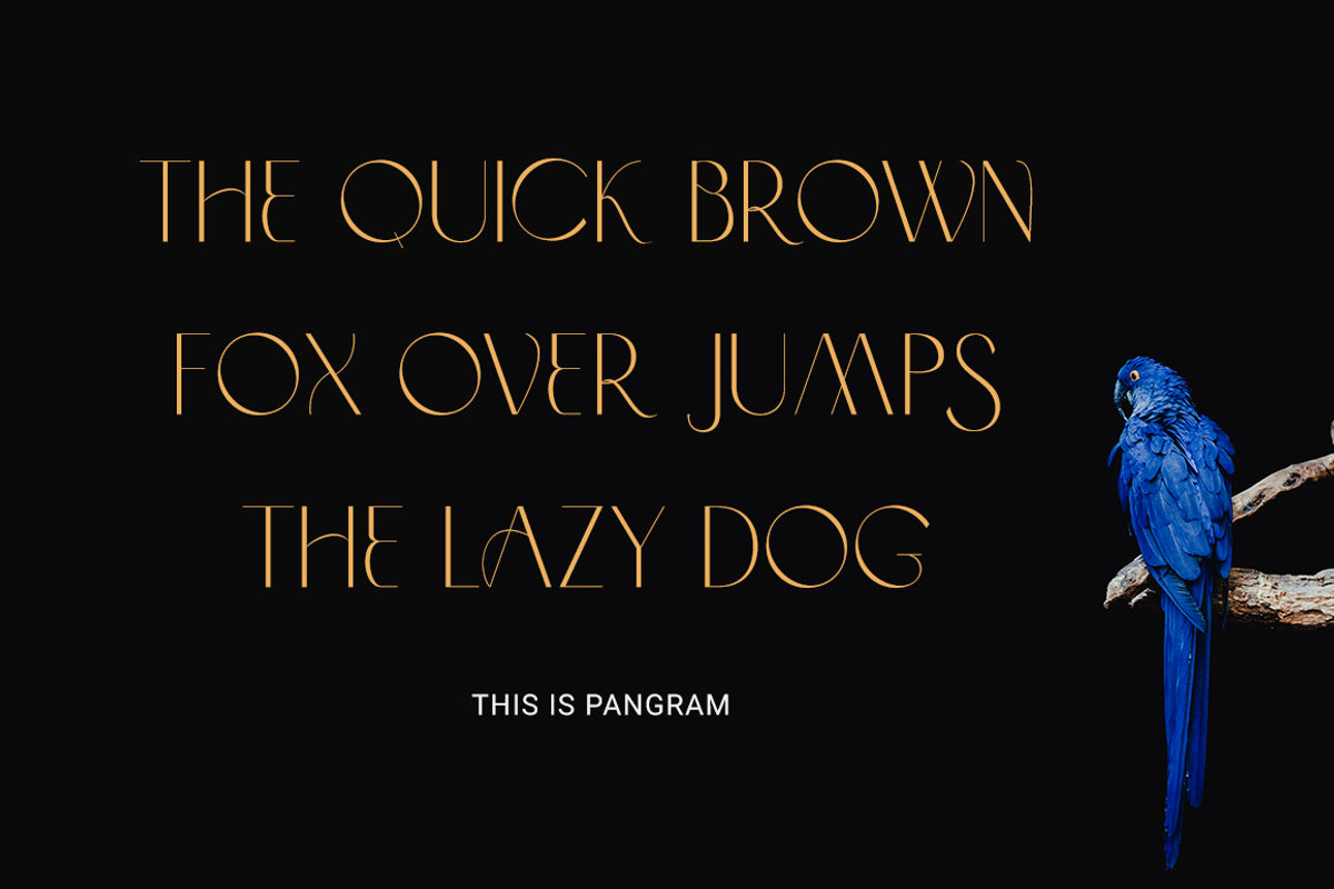Problack - Elegant Sans Serif, a Sans Serif Font by RockboyStd (Photo 7 of 12)