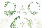 Fern Land. Watercolor Collection, an Illustration by OctopusArtis (Thumbnail 2 of 8)