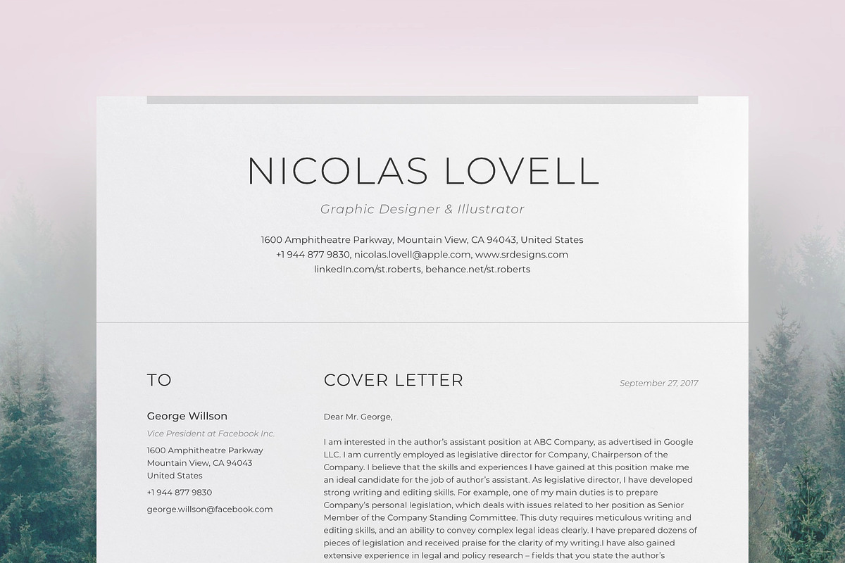 Professional Resume 2, a Resume Template by DEFNST (Photo 3 of 3)