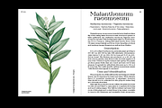 TT Alientz, a Serif Font by TypeType (Thumbnail 14 of 15)