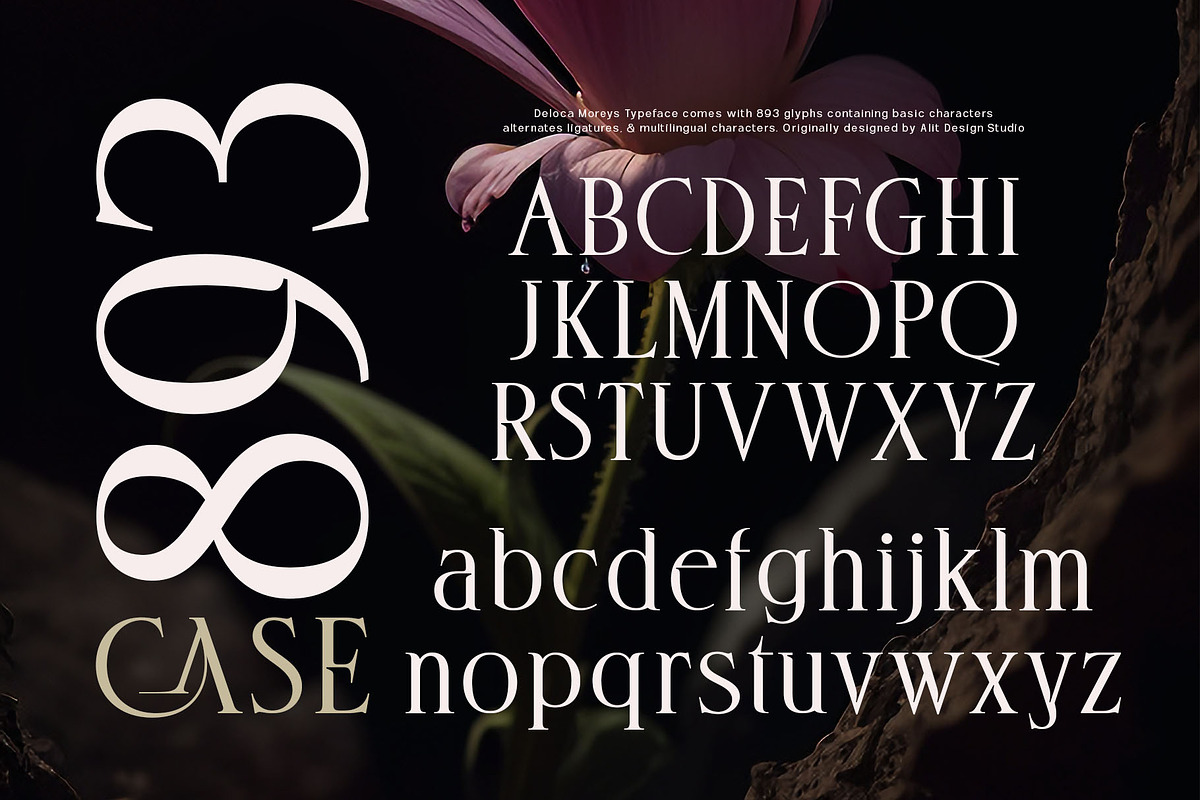 Deloca Moreys Typeface, a Serif Font by alit design (Photo 2 of 20)