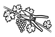 50 Professional Garden Shears Vector, an Illustration by hafijul (Thumbnail 49 of 51)