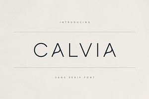 Calvia –  Minimalist Sans Serif Font, a Sans Serif Font by Only Fonts