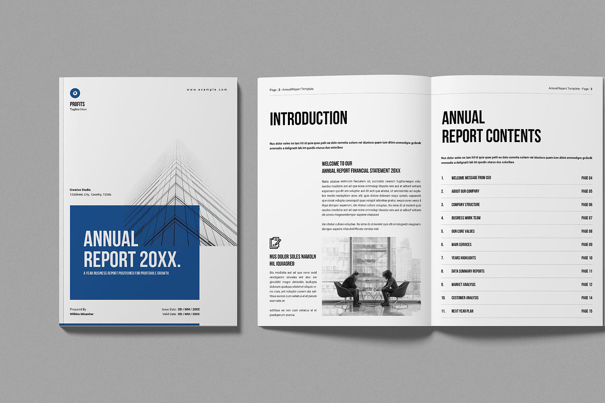 Annual Report Template, a Brochure Template by Work-Envance (Photo 2 of 7)