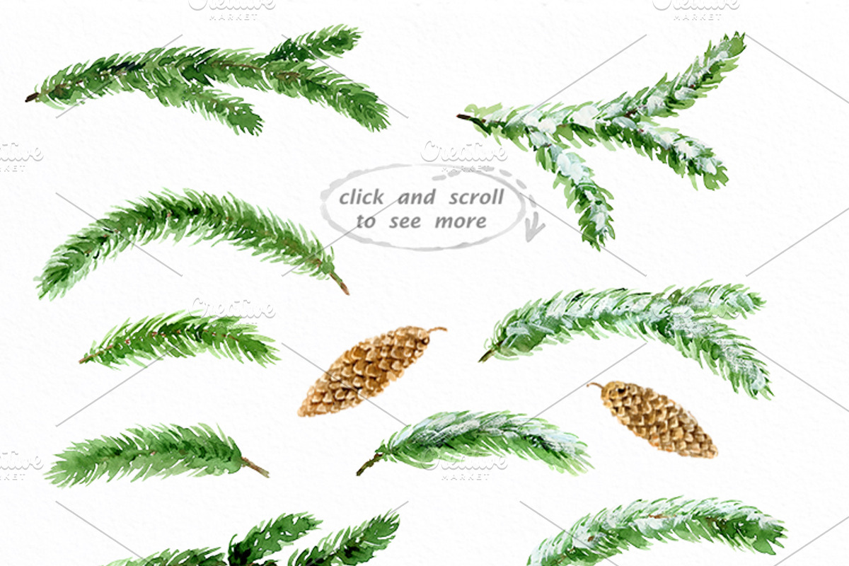 Conifer Branches Watercolor clipart, a Decorative Illustration by AqwaColor (Photo 2 of 3)