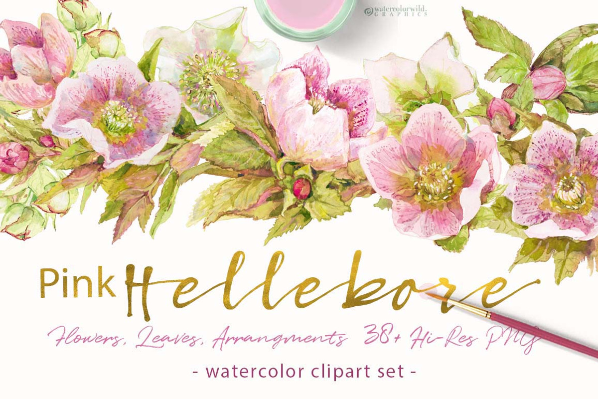 BUNDLE PINK FLOWERS-85%, an Illustration by watercolorwild.graphics (Photo 3 of 11)