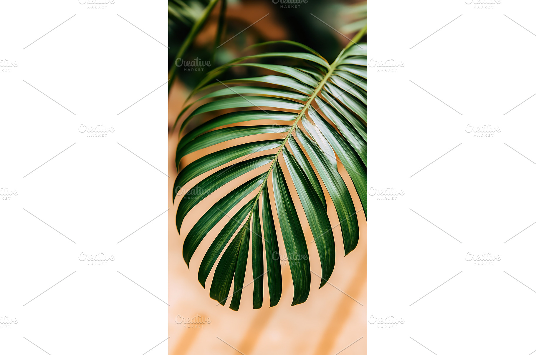 Close up of lush green leaf on a, a Nature Photo by Lermont51