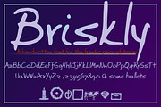 Briskly script & Aerle Thin sans, a Script Font by Radiqx Press (Thumbnail 3 of 3)