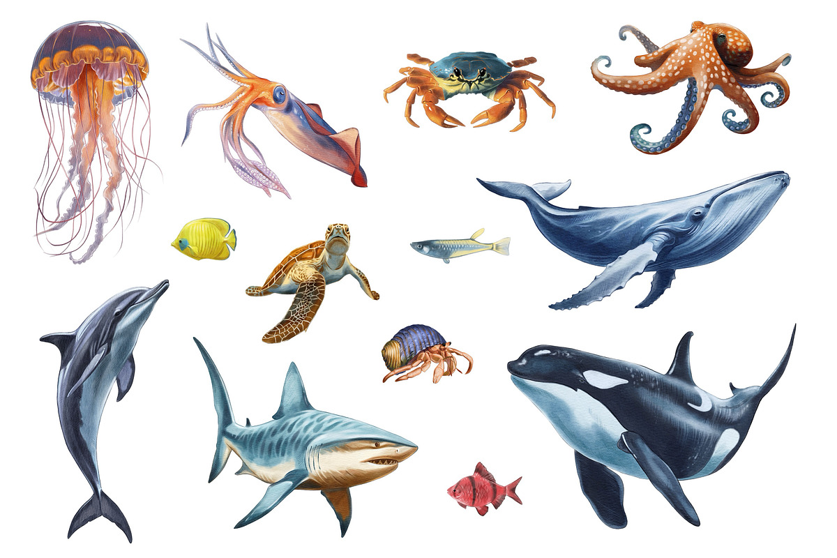 Underwater world watercolor collecti, an Animal Illustration by IrynaPanashii (Photo 2 of 16)