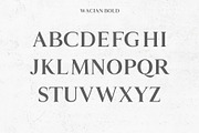 Wacian Serif Font Family, a Serif Font by Creativetacos (Thumbnail 4 of 9)