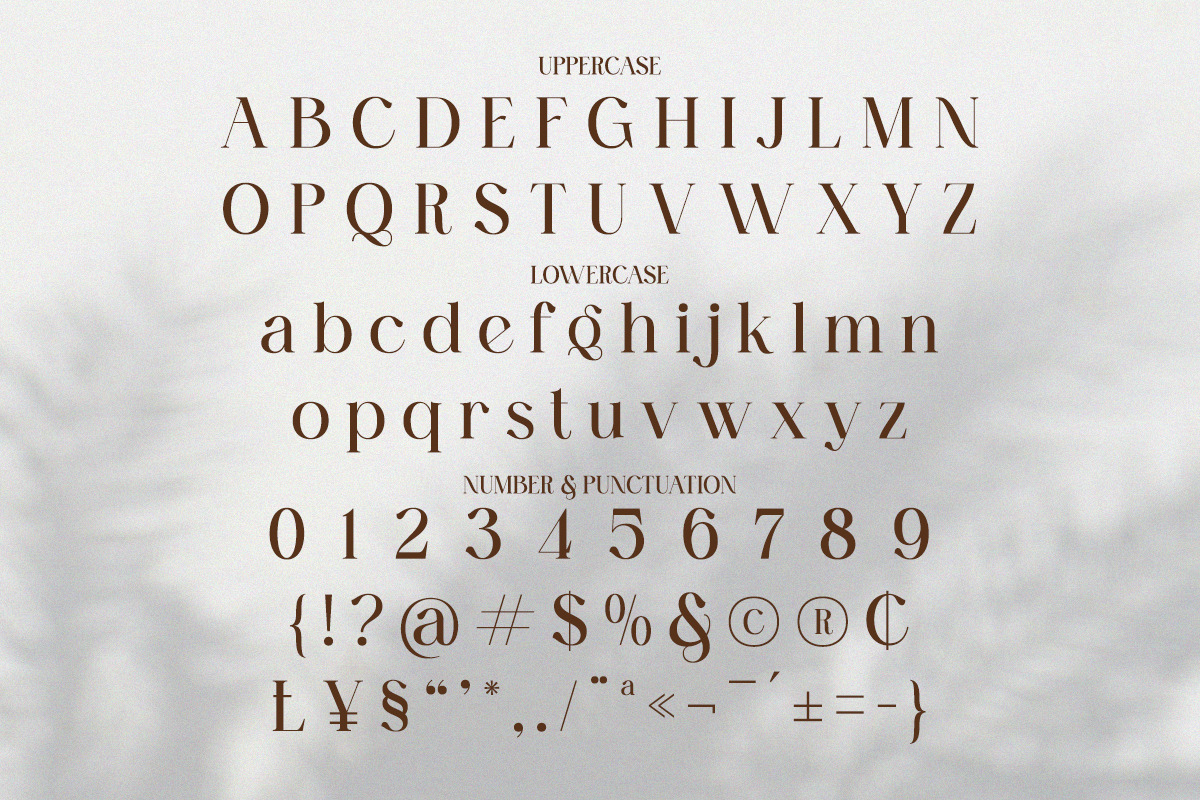 Autumn Serif - Elegant Branding Font, a Serif Font by Qweera Studio (Photo 9 of 12)