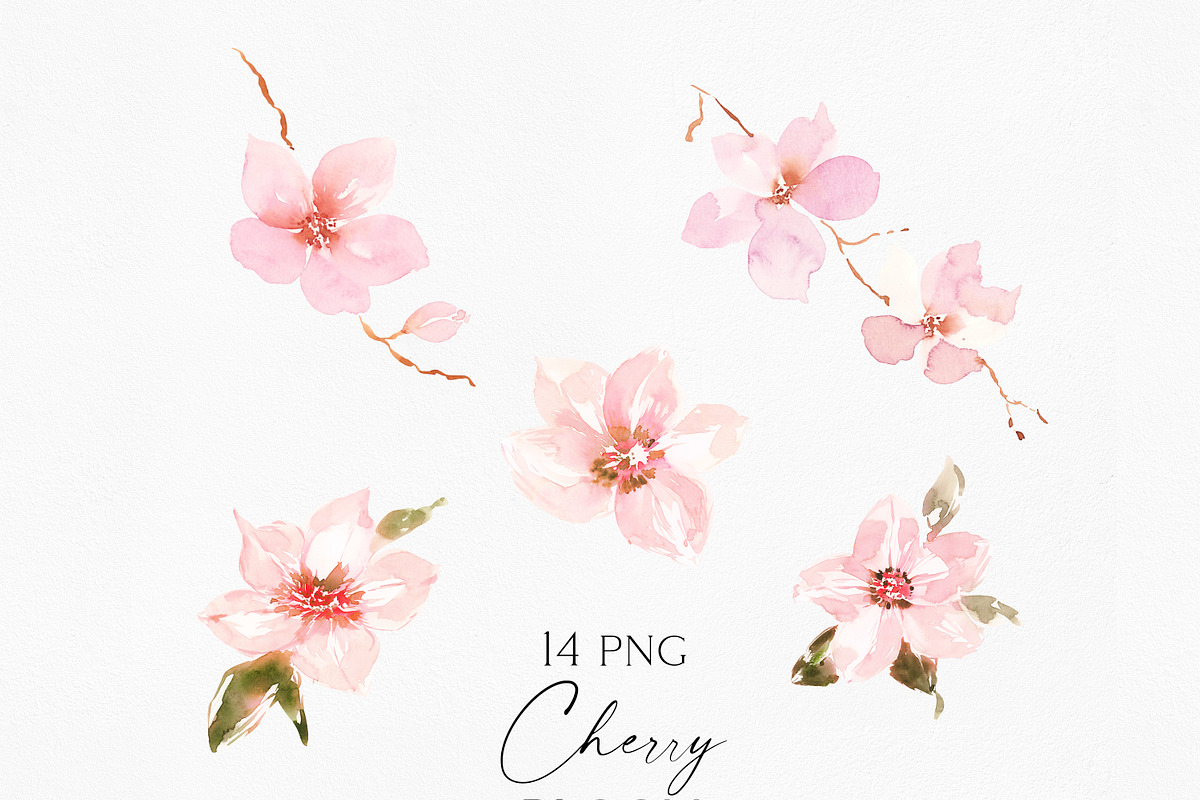Watercolor Cherry Blossom, an Illustration by Olga Koelsch (Photo 4 of 9)