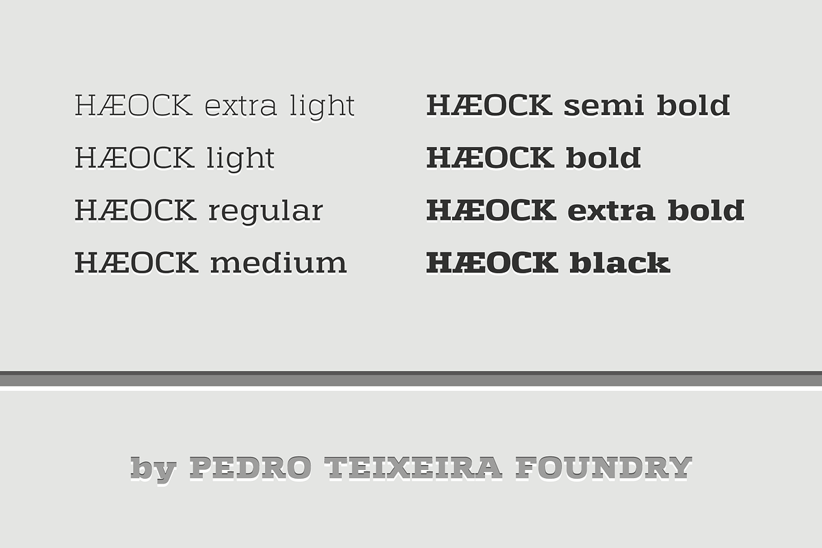 Haeock Family, a Slab Serif Font by vectalex (Photo 6 of 6)