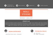 Red 2 in 1 Word Resume Pack, a Resume Template by Inkpower (Thumbnail 3 of 4)