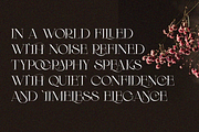 Arneta, a Serif Font by zaaintype (Thumbnail 7 of 11)