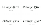 Pelagic Bird - Unique Ligature Font, a Serif Font by Yahya Type (Thumbnail 18 of 22)