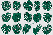 Green MONSTERA Leaves, an Illustration by Tanya Akhmett (Thumbnail 8 of 8)