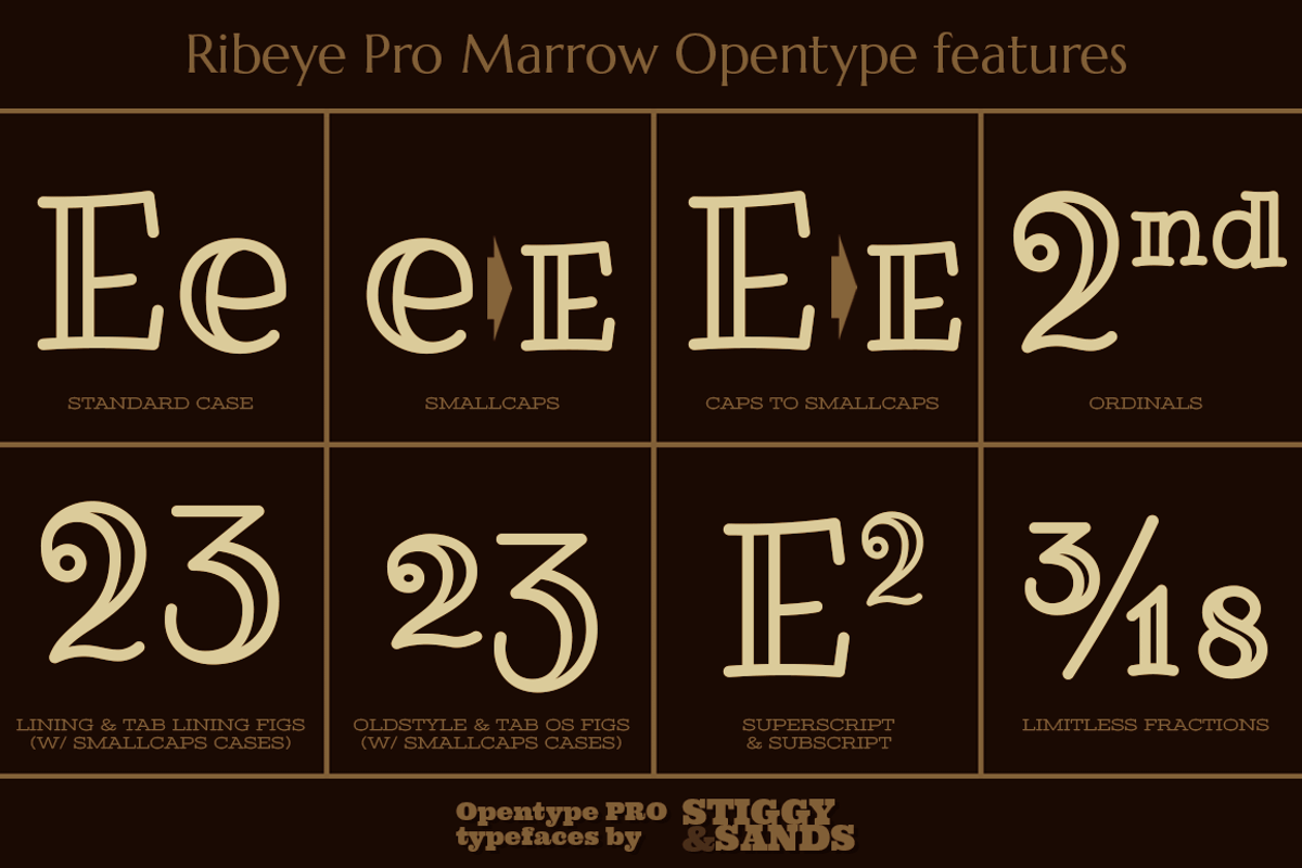 Ribeye Pro Family preview 5