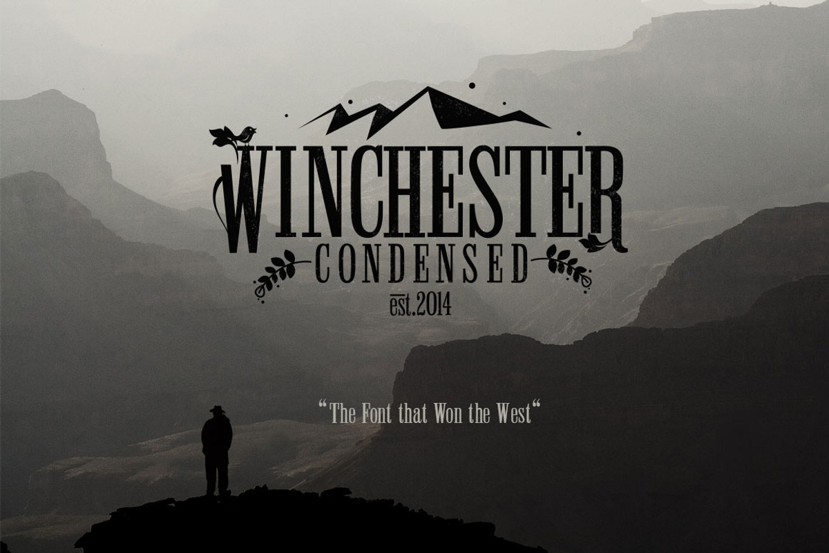 Winchester Condensed Font preview 4