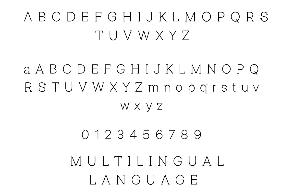 Sunflower - serif font, a Serif Font by Sk designs (Photo 7 of 8)