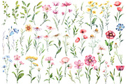 Wild flowers watercolor collection, a Decorative Illustration by Dashamoony (Thumbnail 2 of 3)