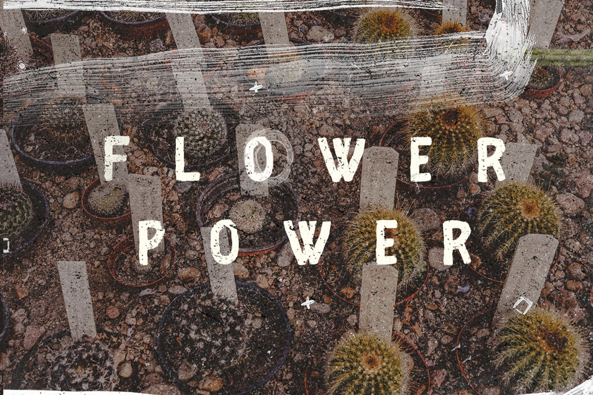Fibre - Vintage Font preview 3
