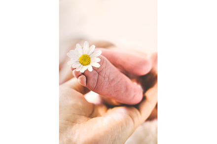 Newborn baby feet with chamomile, a Person Photo by yanadjana
