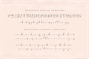 Wolmington Script Font, a Script Font by Salt & Pepper Designs (Thumbnail 10 of 12)