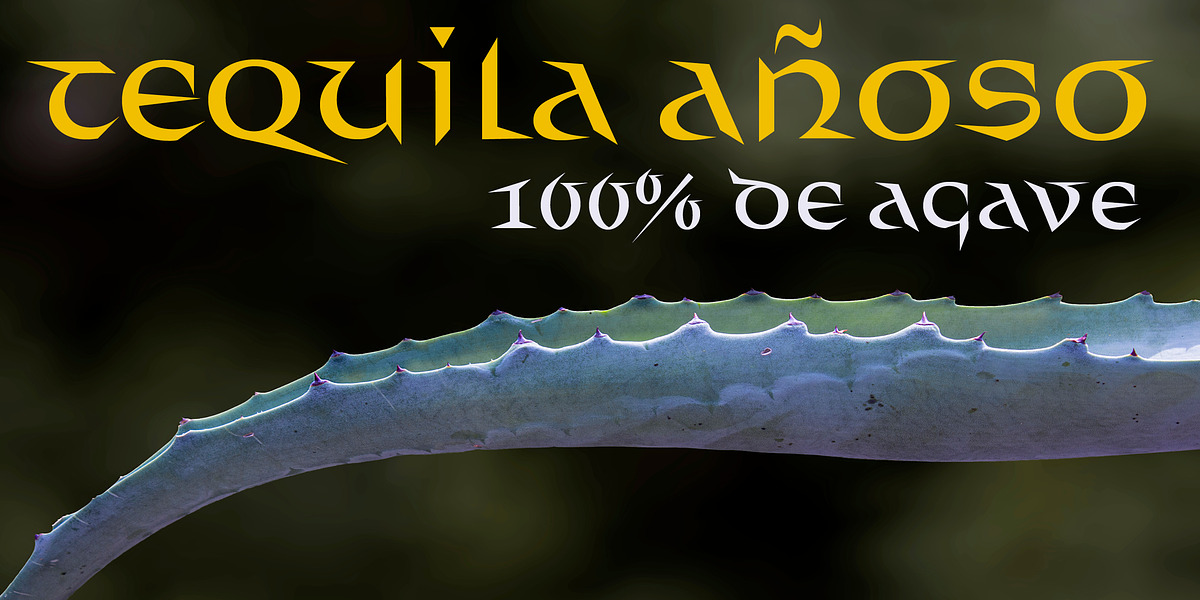 Distel, a Font by Finaltype (Photo 9 of 11)