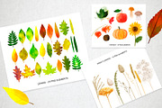 Autumn collection, a Background Graphic by ViktoriaLapshyna (Thumbnail 2 of 10)