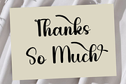 Tropical Garden, a Handwritten Font by FreshTypeINK (Thumbnail 4 of 8)