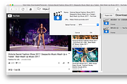 Total Video Downloader for Mac, an Action Add-On by EffectMatrix (Thumbnail 14 of 14)