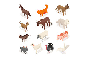 Farm animals isometric set. Domestic, an Animal Illustration by the8monkey