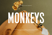 Monkeys Handwritten Sans Font, a Sans Serif Font by Graphicxell (Thumbnail 1 of 6)