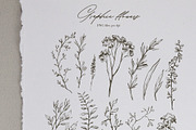 SUMMER MEMORY Watercolor set, a Seasonal Illustration by Anastezia Luneva (Thumbnail 4 of 9)