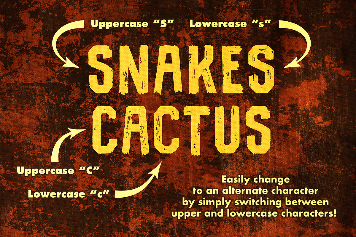 Baja Brush typeface, a Font by Graphic Bandits (Photo 4 of 5)