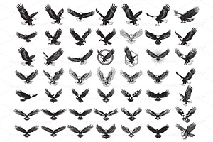 Collection of eagles in flight, an Animal Illustration by yod67