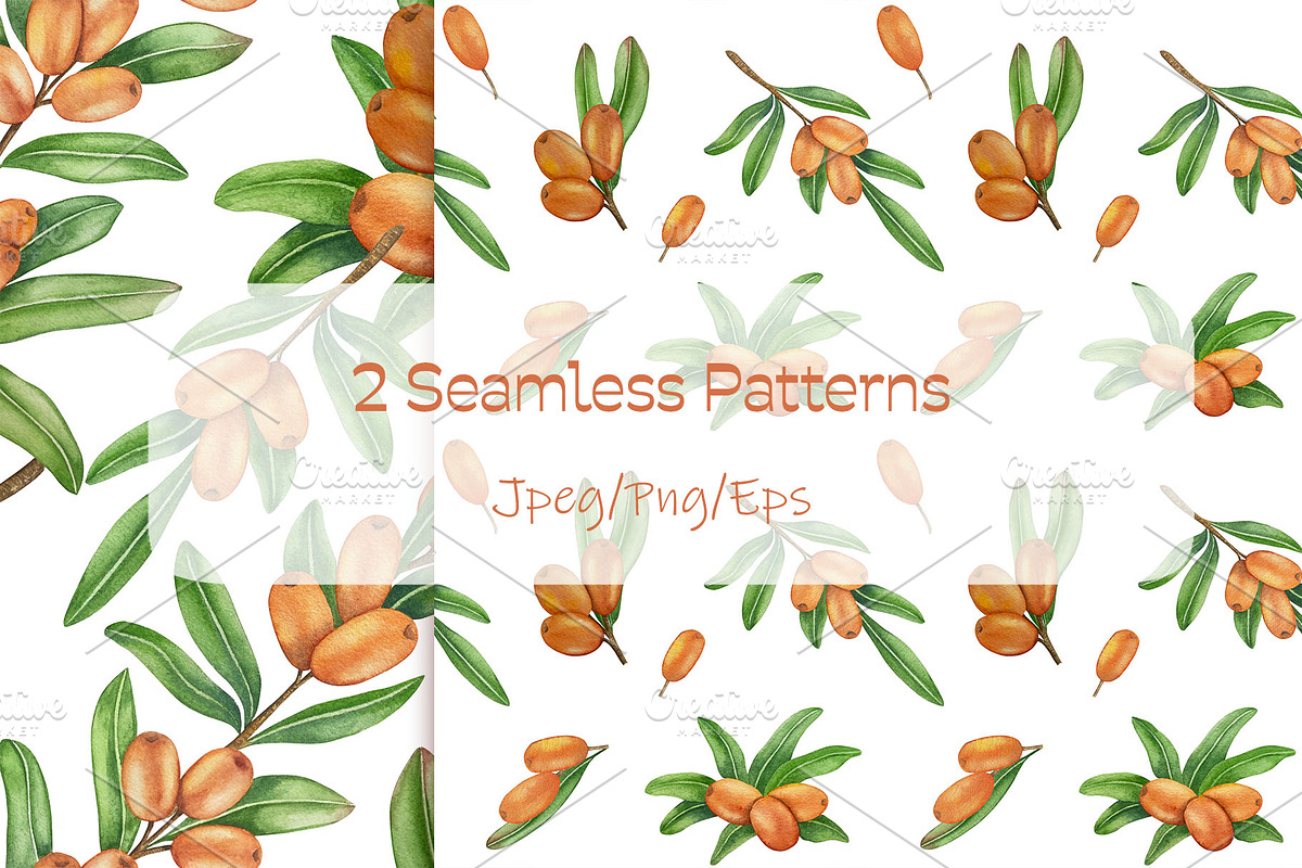 Sea Buckthorn Watercolor Clipart, a Food Illustration by Milla_Zelenyuk_art (Photo 4 of 4)