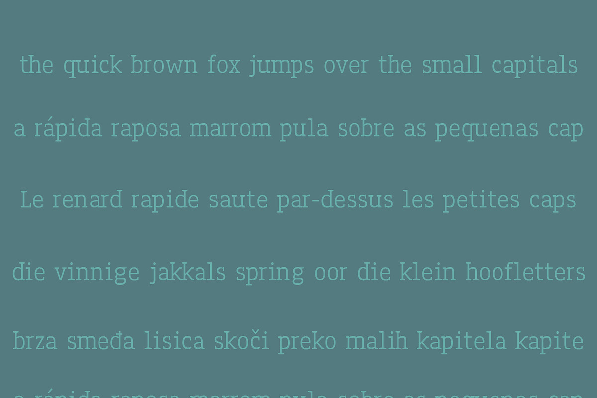 Legacy'17 Pro Typeface preview 8