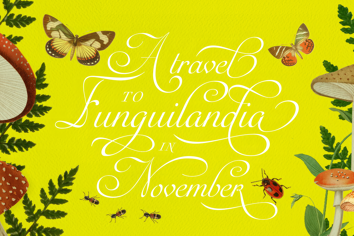 Auberge Script, a Script Font by Sudtipos (Photo 1 of 11)