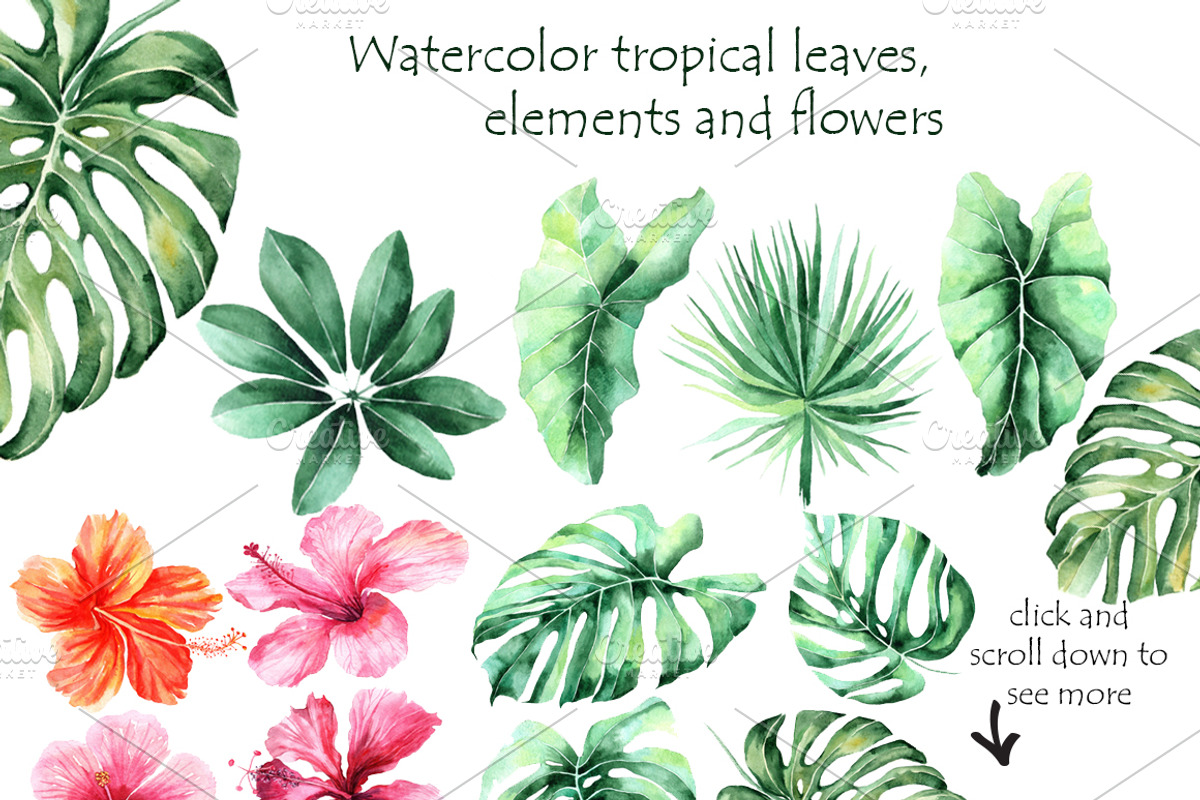 Tropical Watercolor set, a Decorative Illustration by Antikva17 (Photo 2 of 4)