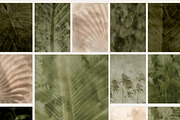 Organic Textured Backgrounds, a Background Graphic by Altea Design Studio (Thumbnail 17 of 20)