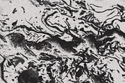 Twisted by Nature Vol 3, a Texture Graphic by Jennifer Lauren Creative (Thumbnail 2 of 16)