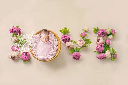 LOVE - Newborn Digital Backdrop