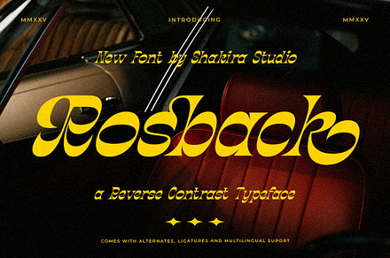 Rosback – Display Serif, a Serif Font by Shakira Studio
