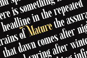 Ramond - Condensed Serif, a Serif Font by Novitype (Thumbnail 13 of 14)