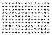 870 Animals and Birds Silhouette, a Solid Icon by Vectors Market (Thumbnail 2 of 2)